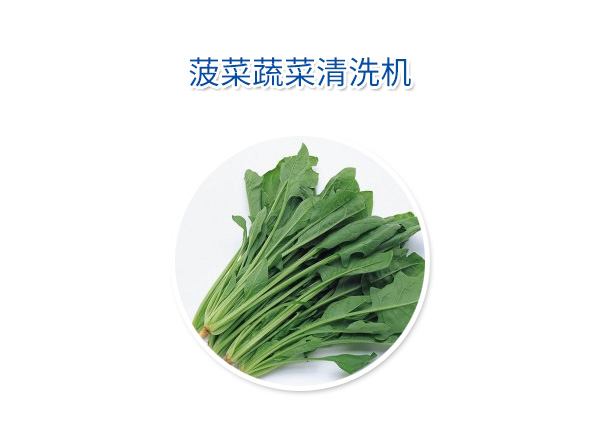 菠菜蔬菜清洗機(jī)